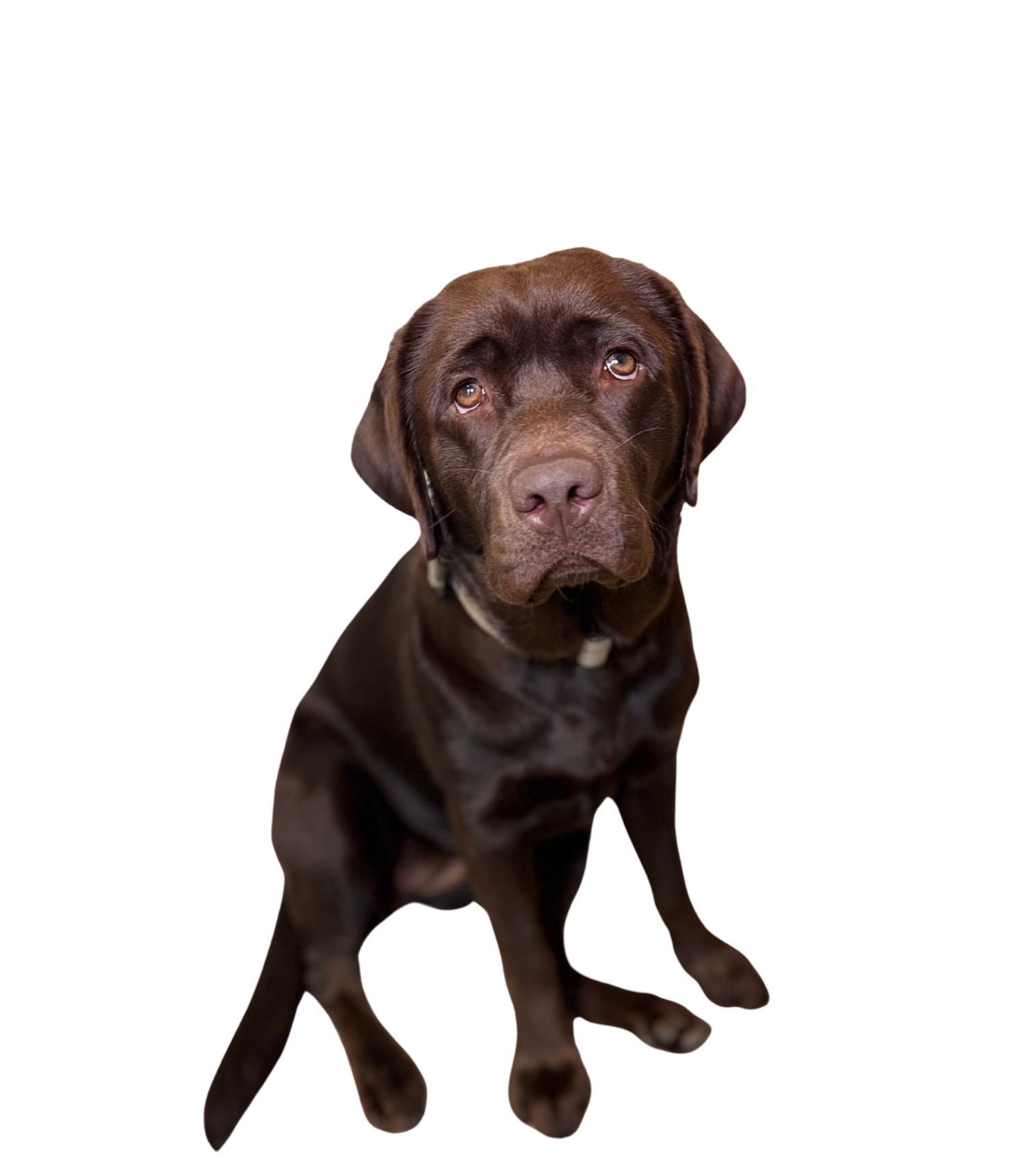 Remi